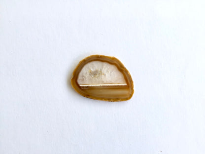 Agate Slice #2 by Vivian Lam