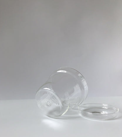 Clear Glass Planter by PROSE Botanical