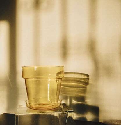 Sunbeam Glass Planter by PROSE Botanical