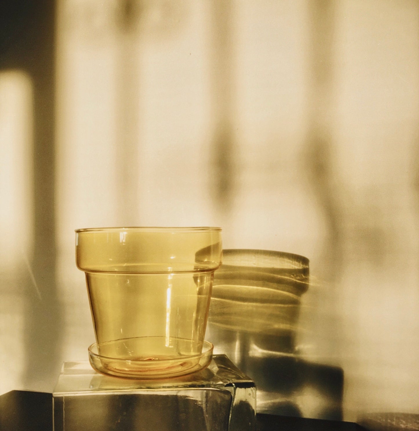 Sepia Collection by PROSE
