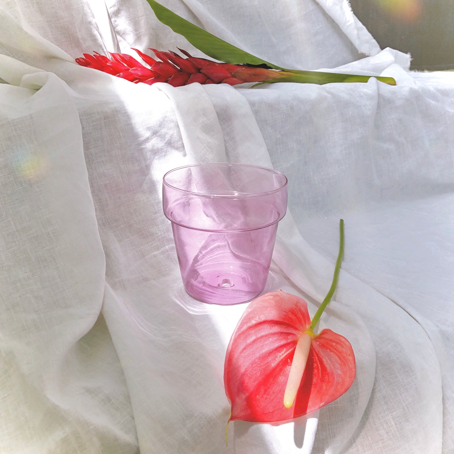 Orchid Glass Planter by PROSE Botanical