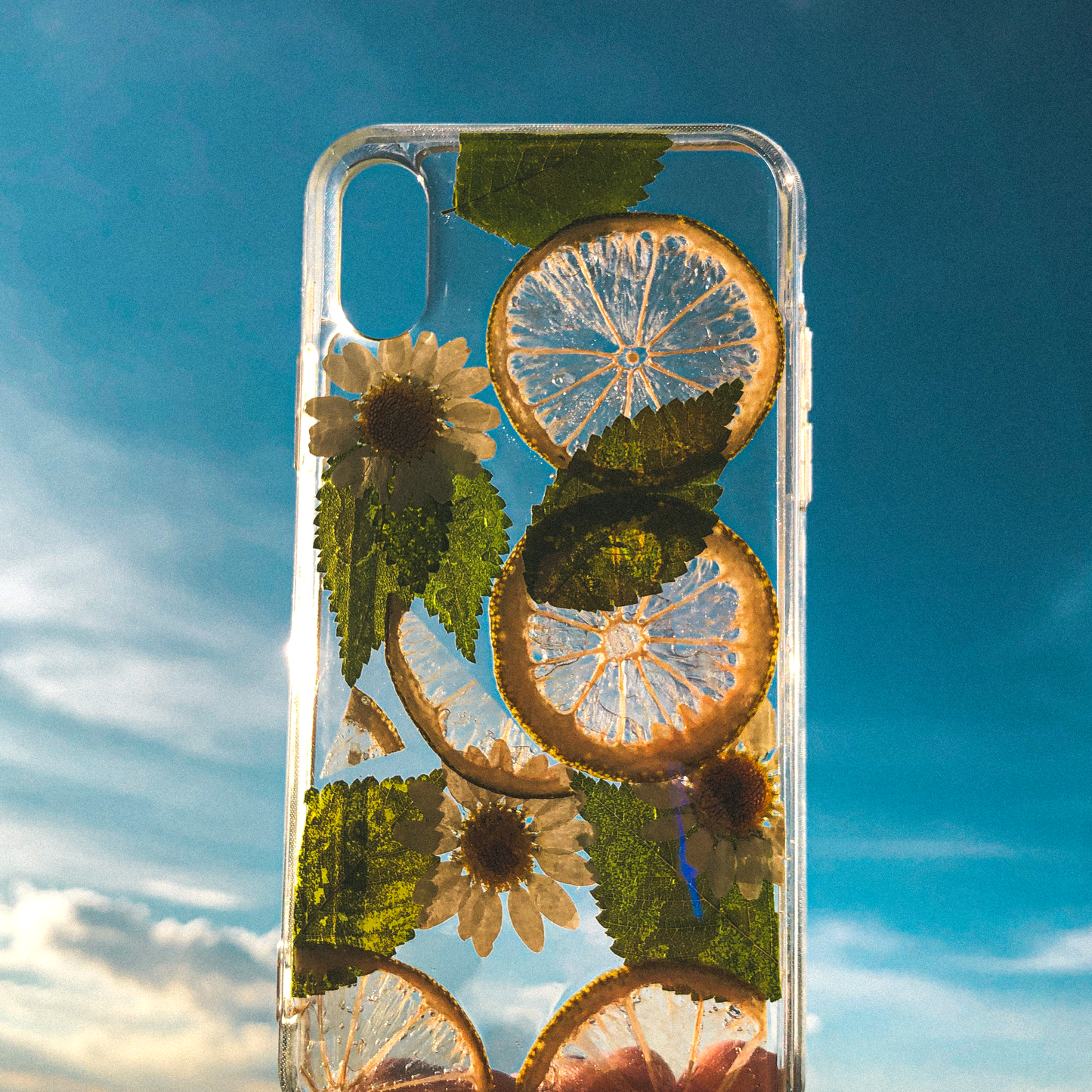 Pressed Lime Phone Case (iPhone X/XS)  by Veronique