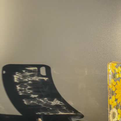 Pressed WildFlower Phone Case (iPhone X/XS)  by Veronique
