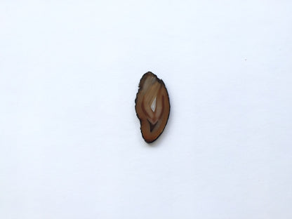 Agate Slice #1 by Vivian Lam