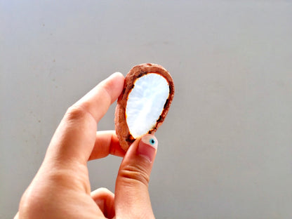 Agate Slice #8 by Vivian Lam