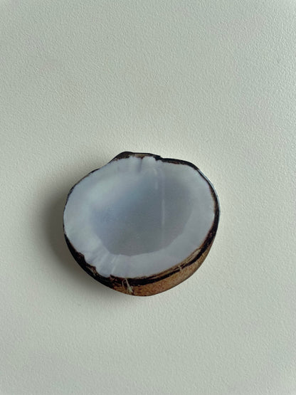 Seasonal Fruits Phone Socket by Veronique