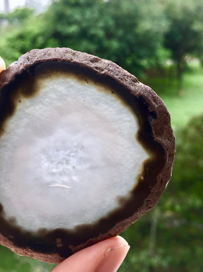 Agate Slice #43  by Vivian Lam
